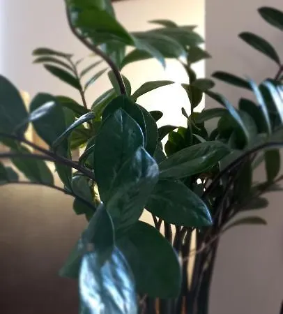 Lejlighed Beautifull