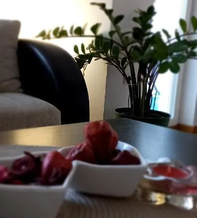 Beautifull Apartment Nis