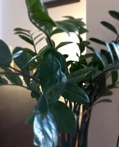 Apartament Beautifull