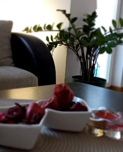 Beautifull Apartament Ni